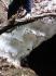 201006zz_006.jpg