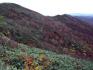 20101100_013.jpg