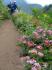 20120809_249.jpg