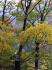 20131027_007.jpg